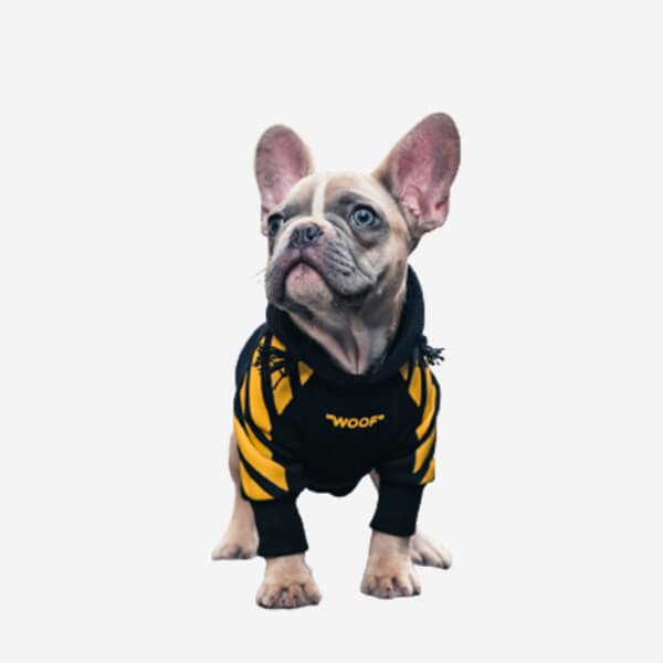 Metallic Dog Bowl - Imagen 4