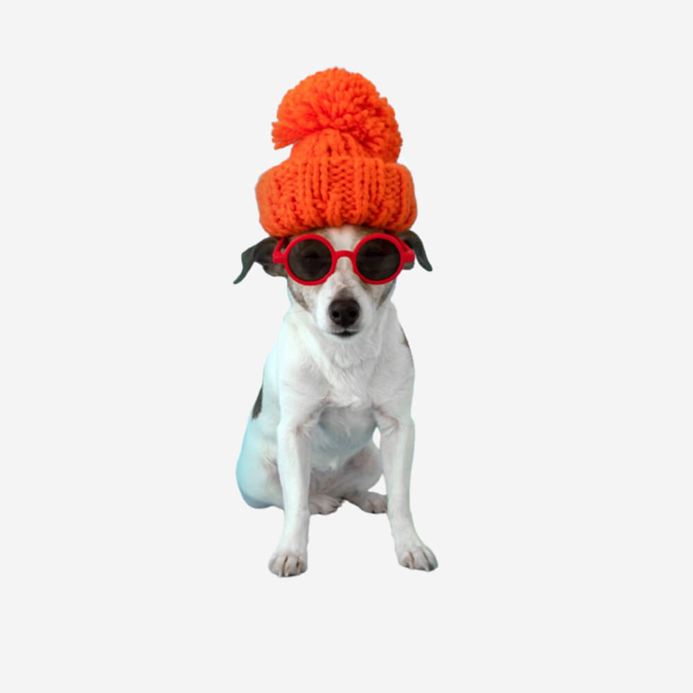 Dog Hat Sun – Farmavet Labs