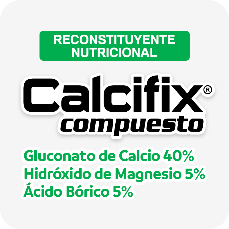 Calcifix Compuesto