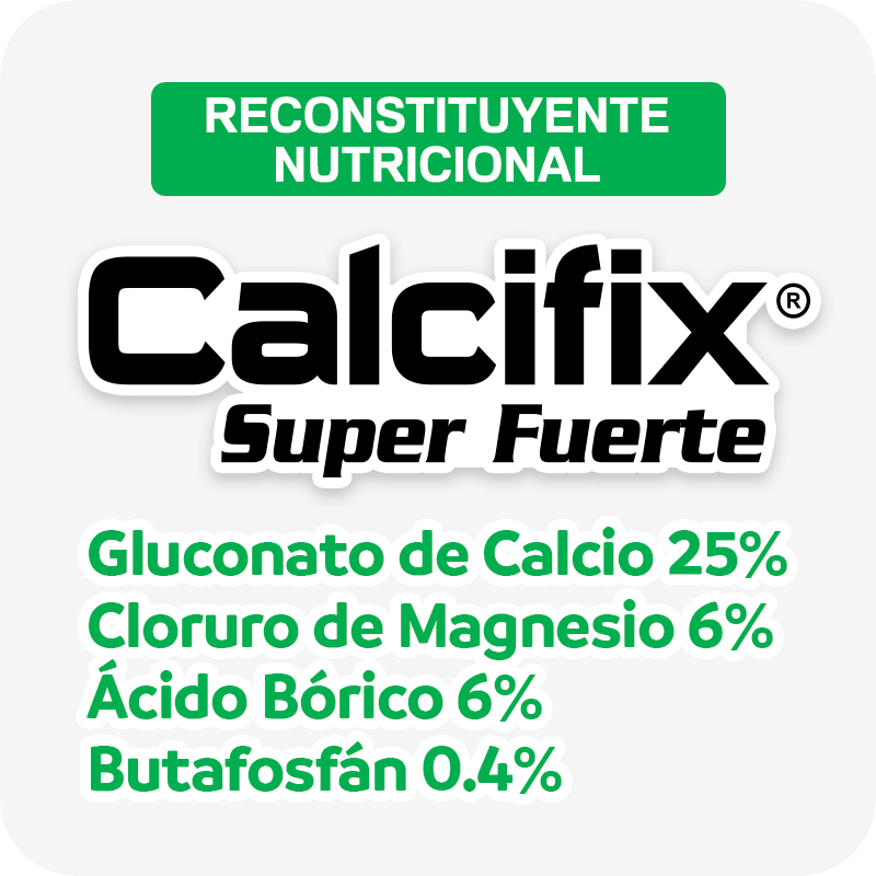 Calcifix Super Fuerte