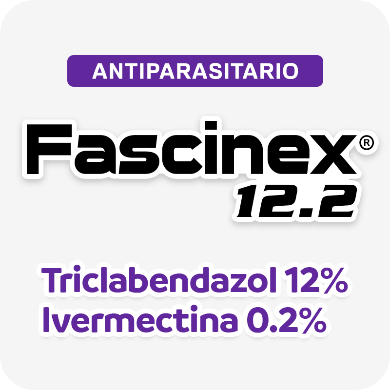 Fascinex 12.2