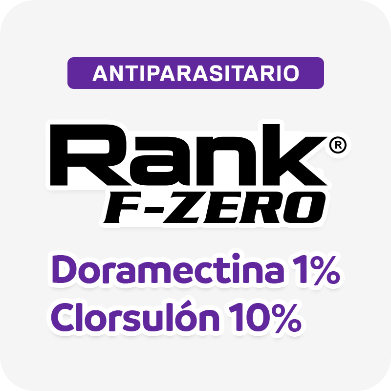 Rank F-ZERO