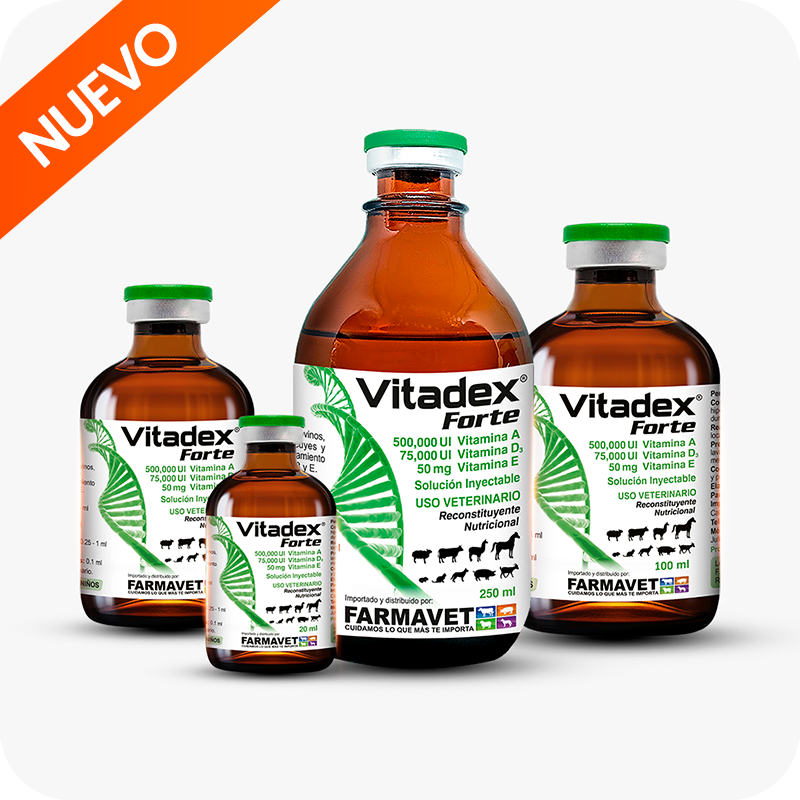 Vitadex Forte