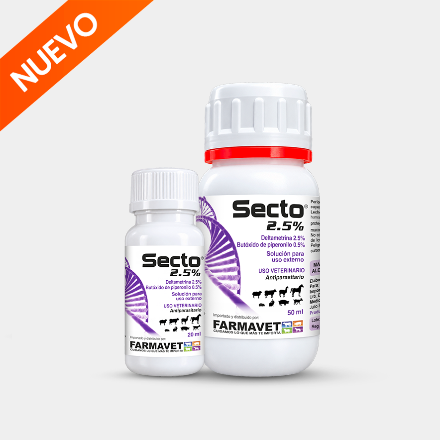 Secto 2.5%