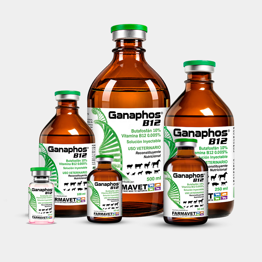 Ganaphos B12