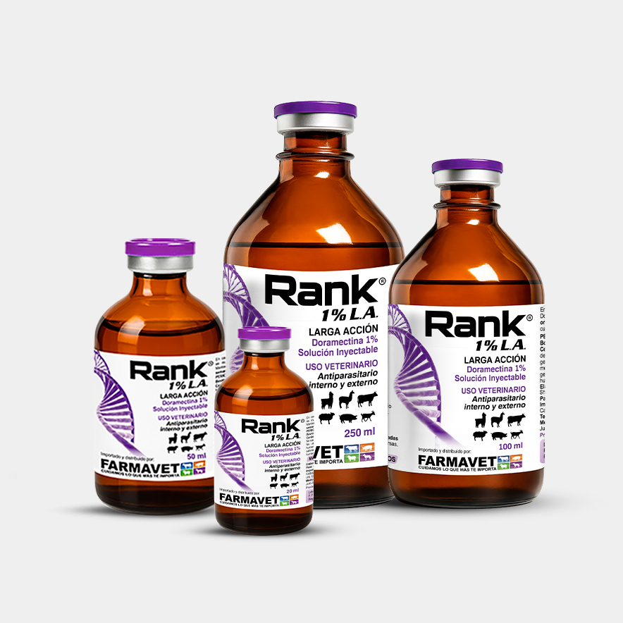 Rank 1% L.A.